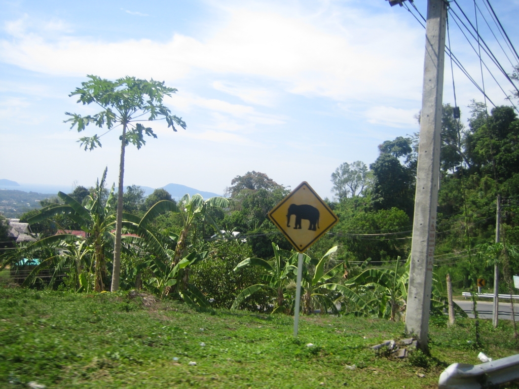 rencontre femme koh samui