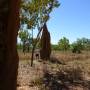 Australie - Termitière géante