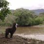 Pérou - Zonie au rio