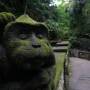 Indonésie - Monkey Forest