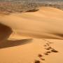 Maroc - Merzouga bivouac,circuit desert,