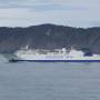Nouvelle-Zélande - Le ferry