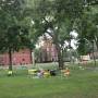 USA - Harvard University - jardins