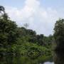 Équateur - Cuyabeno - Amazonie
