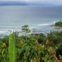 Costa Rica - Lapa Rios