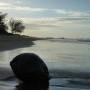 Australie - Noix de coco à Saunders Beach