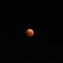 Polynésie française - Une belle lune Rouge le 14.04.14 à Tahiti
