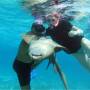 Belize - Requin