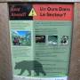 Canada - Attention aux ours