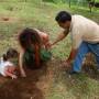 Costa Rica - Planter un arbre