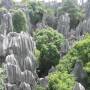 Chine - Forêt de pierre