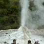 Nouvelle-Zélande - Le geyser Lady Knox