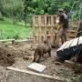 Nouvelle-Zélande - Fabrication du compost en palettes