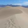 USA - Les dunes de sable