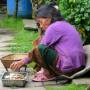 Népal - Pause repas à Timang