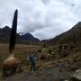 Pérou - Huaraz - glacier Pastoruri