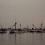 Pérou - petit port de Paracas
