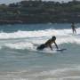 Australie - Surf
