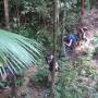 Malaisie - Dans la jungle