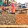 Cambodge - vendeuse de (staphilo) coques...