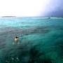 Panama - snorkelling
