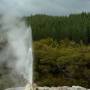 Nouvelle-Zélande - pfu le geyser