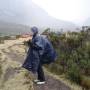 Pérou - Lisou en mode pluie...