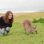 Australie - Nos amis les kangourous!