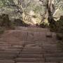 Laos - Les raides escaliers de Wat Phou