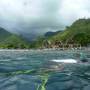 Indonésie - Snorkeling sur l