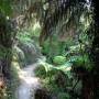 Nouvelle-Zélande - Abel Tasman national Park