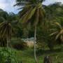Saint-Vincent-et-les-Grenadines - Notre Maison à Kingstown, Arnos Vale