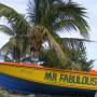 Saint-Vincent-et-les-Grenadines - 