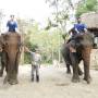 Laos - Titi, Van, leurs elephants et leurs cornacs