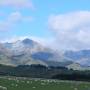 Nouvelle-Zélande - Des moutons !