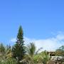 Nouvelle-Calédonie - Vue de la terrasse de chez Guigui au réveil
