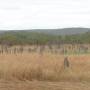 Australie - Les termitières magnétiques de Lichtfield National Park