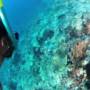 Indonésie - En plongée snorkeling