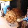 Inde - Marchand de noix de coco