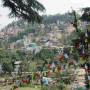 Inde - Mc Leod ganj la ville des réfugiés Tibétins