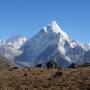 Népal - L Ama dablam (6812m)