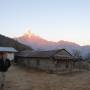 Népal - lodge perdue dans la foret avec en fond le matchapuchare
