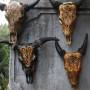 Indonésie - Sculpture dans des cranes de boeuf 