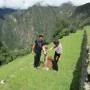 Pérou - Imposssible de partir du Pérou sans avoir pris de photo avec le fameux alpaca!