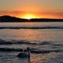 Australie - coucher de soleil step 4... 