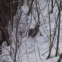 Canada - 