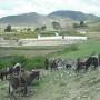 Bolivie - Le 