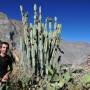 Perou - Canyon del Colca
