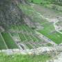 Perou - Temple de Ollantaytambo