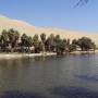 Perou - Oasis de Huacachina